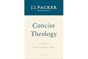 Concise Theology book cover