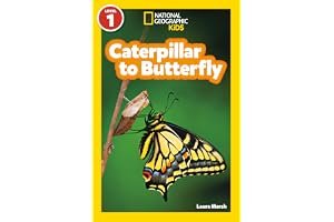 Caterpillar to Butterfly book cover