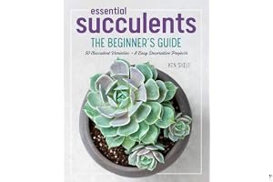 Essential Succulents: The Beginner's Guide book cover