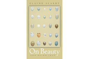 On Beauty and Being Just book cover