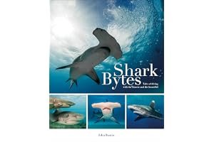 Shark Bytes: Tales of Diving with the Bizarre and the Beautiful book cover