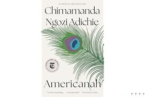 Americanah book cover