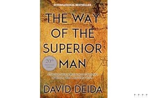 The Way of the Superior Man: A Spiritual Guide to Mastering the Challenges of Women, Work, and Sexual Desire book cover