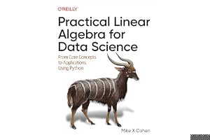Practical Linear Algebra for Data Science: From Core Concepts to Applications Using Python book cover