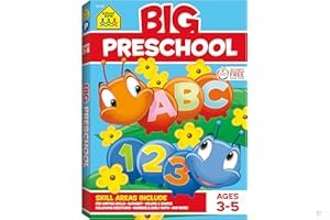 Big Preschool Workbook book cover
