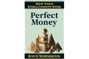 Perfect Money: How Your Enslavement Will End book cover