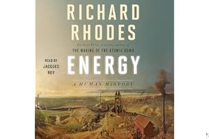 Energy: A Human History book cover
