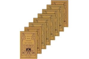 Rays Arithmetic 8 Volume Set book cover