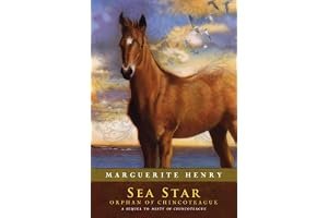 Sea Star: Orphan of Chincoteague (Misty, #2) book cover