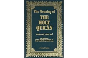 The Meaning of the Holy Qu'ran book cover