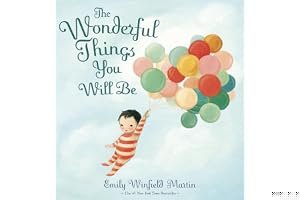 The Wonderful Things You Will Be book cover