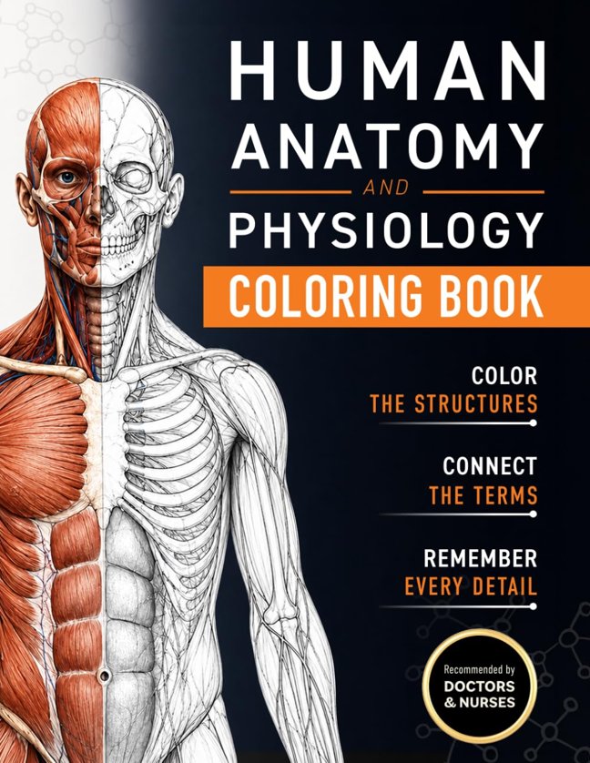 Human Anatomy and Physiology Coloring Book: A Visual Guide to the Structures and Systems of the Human Body book cover