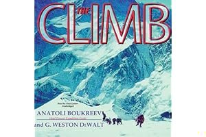 The 100-Year-Old Man Who Climbed Out the Window and Disappeared (The Hundred-Year-Old Man, #1) book cover
