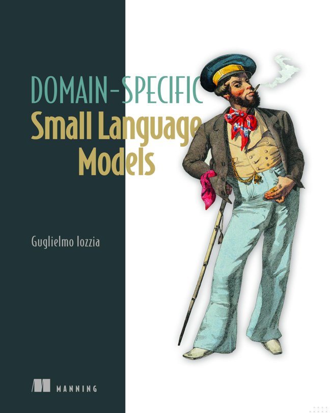 Domain-Specific Small Language Models: Efficient AI for local deployment book cover