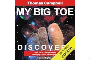 My Big TOE: Discovery: Book Two of a Trilogy Unifying Philosophy, Physics, and Metaphysics book cover