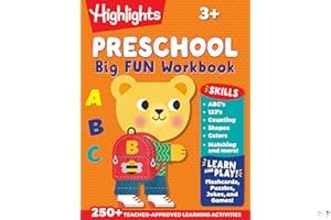 The Big Fun Preschool Activity Book book cover