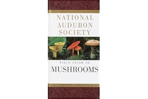 The Audubon Society Field Guide to North American Mushrooms book cover