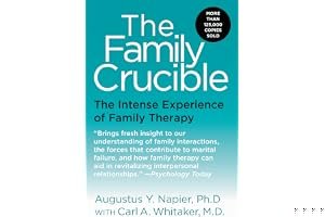 The Family Crucible: The Intense Experience of Family Therapy book cover