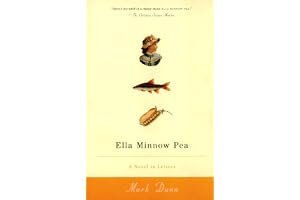 Ella Minnow Pea: A Novel in Letters book cover