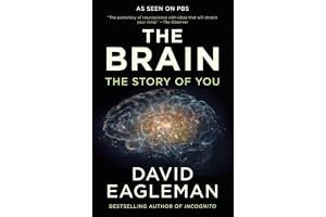 The Brain: The Story of You book cover