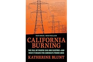 California Burning: The Fall of Pacific Gas and Electric—and What It Means for America's Power Grid book cover