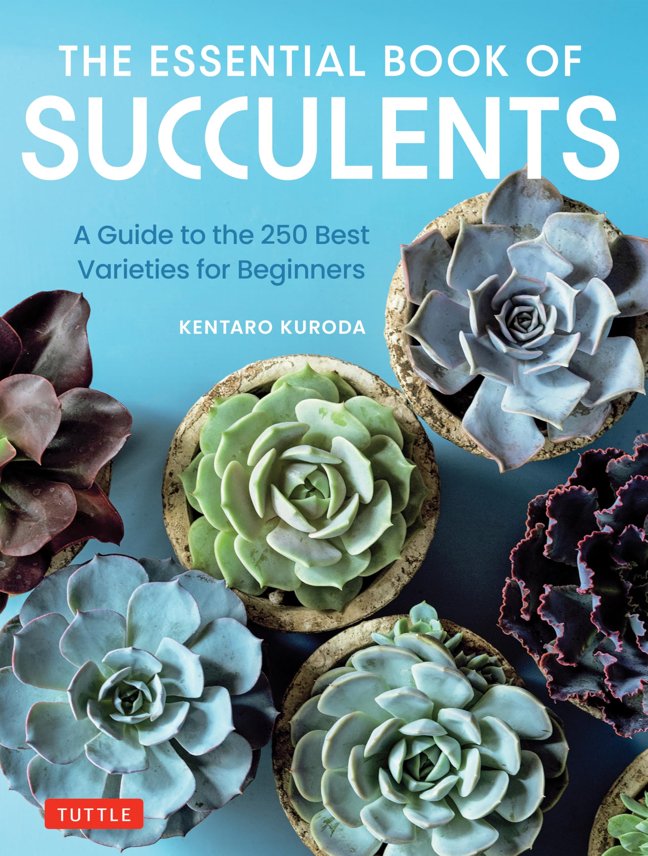The Essential Book of Succulents: A Guide to the 250 Best Varieties for Beginners book cover