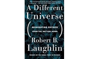 A Different Universe: Reinventing Physics From the Bottom Down book cover