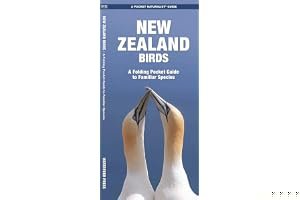 New Zealand Birds: A Folding Pocket Guide to Familiar Species book cover