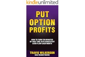 Put Option Profits: How to Turn Ten Minutes of Free Time into Consistent Cash Flow Each Month (Passive Stock Options Trading book cover