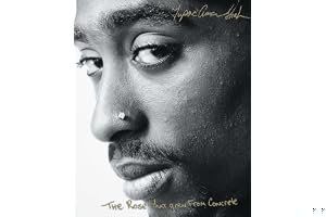 The Rose That Grew From Concrete book cover