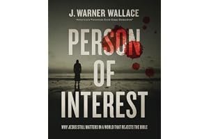 Person of Interest: Why Jesus Still Matters in a World that Rejects the Bible book cover