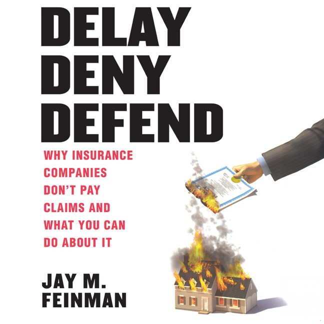 Delay Deny Defend--paperback book cover