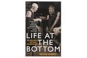 Life at the Bottom: The Worldview that Makes the Underclass book cover