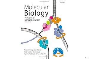 Molecular Biology: Principles of Genome Function book cover