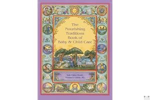 The Nourishing Traditions Book of Baby & Child Care book cover