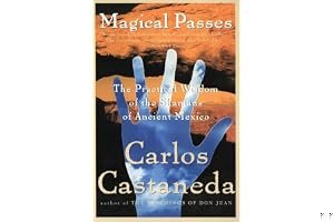 Magical Passes: The Practical Wisdom of the Shamans of Ancient Mexico book cover