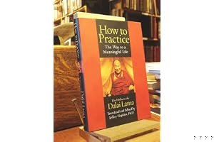 How to Practice: The Way to a Meaningful Life book cover