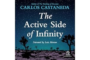 The Active Side of Infinity book cover