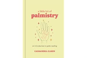 A Little Bit of Palmistry: An Introduction to Palm Reading book cover