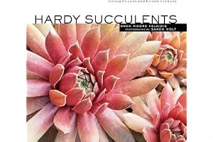 Hardy Succulents: Tough Plants for Every Climate book cover