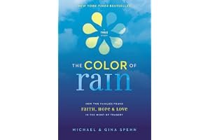 The Color of Rain: How Two Families Found Faith, Hope, & Love in the Midst of Tragedy book cover