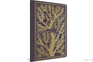 ESV Illuminated Scripture Journal: Romans book cover
