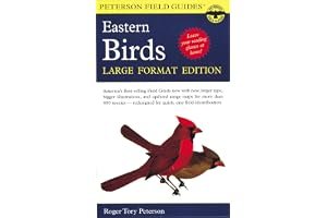 A Field Guide to the Birds of Eastern and Central North America book cover