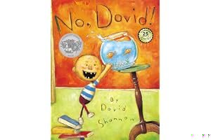 No, David! book cover