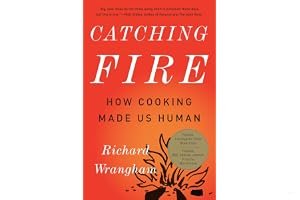 Pegando fogo: Por que cozinhar nos tornou humanos book cover