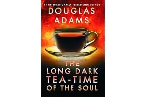 The Long Dark Tea-Time of the Soul (Dirk Gently, #2) book cover