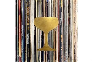 Booze & Vinyl: A Spirited Guide to Great Music and Mixed Drinks book cover