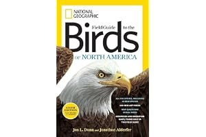 National Geographic Field Guide to the Birds of North America book cover