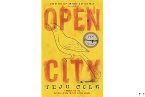 Open City book cover