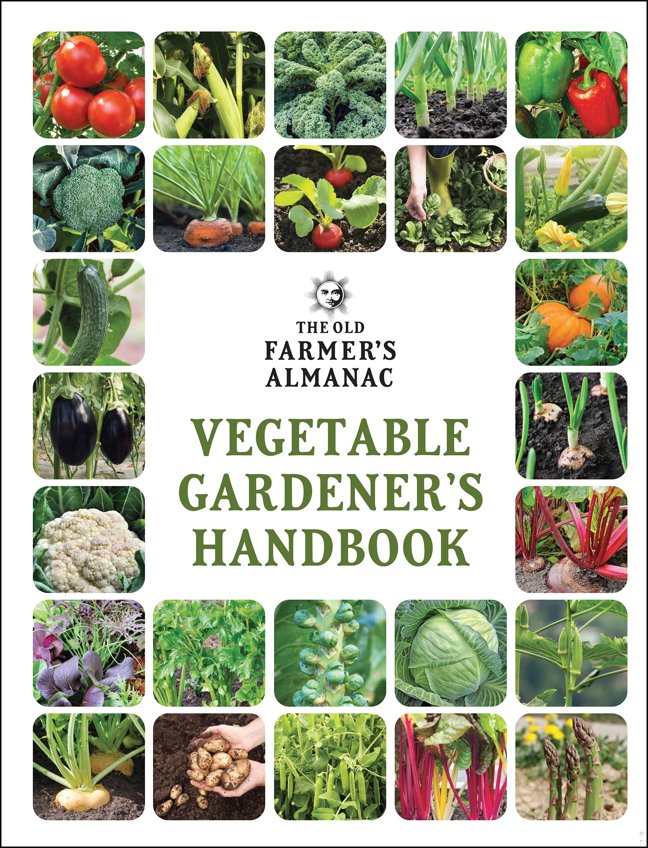 The Old Farmer's Almanac Vegetable Gardener’s Handbook: Essential Step-by-Step Advice for Growing Vegetables and Achieving Success book cover